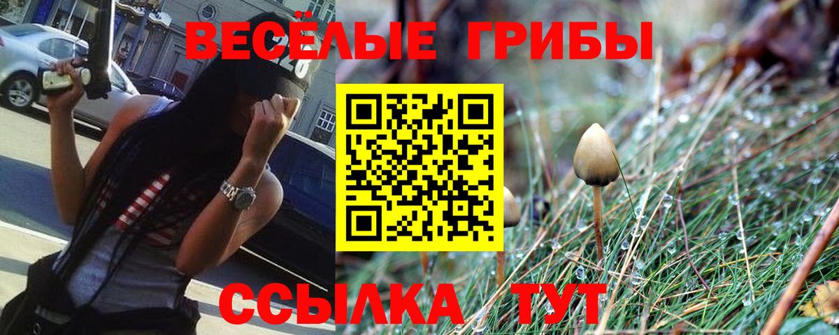 Лысьва  Псилоцибиновые грибы Psilocybine cubensis  Вход с VPN 